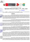 Vista preliminar de documento Resolución Directoral N° 03250-2021