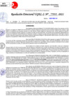 Vista preliminar de documento Resolución Directoral N° 03256-2021