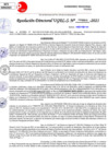 Vista preliminar de documento Resolución Directoral N° 03255-2021