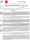 Vista preliminar de documento Resolución Directoral N° 03261-2021
