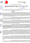 Vista preliminar de documento Resolución Directoral N° 03267-2021