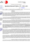 Vista preliminar de documento Resolución Directoral N° 03268-2021