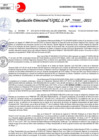 Vista preliminar de documento Resolución Directoral N° 03320-2021