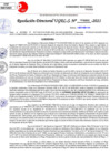 Vista preliminar de documento Resolución Directoral N° 03322-2021