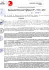 Vista preliminar de documento Resolución Directoral N° 03323-2021