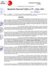Vista preliminar de documento Resolución Directoral N° 03325-2021