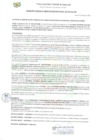 Vista preliminar de documento ROAT_325_2022_MDI.pdf