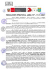 Vista preliminar de documento Resolución Directoral N° 04020-2021