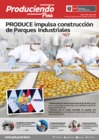 Vista preliminar de documento _BOLETIN PRODUCIENDO PERU N 21