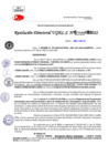 Vista preliminar de documento Resolución Directoral N° 04125-2022