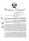 Vista preliminar de documento RD. N° 0450-2017-INPE_OGA-URH.pdf