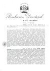 Vista preliminar de documento 102517 RD 395-2017-INPE-17_Campos Salazar Cesar.pdf