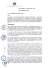 Vista preliminar de documento RA 263 (27.05.2022).pdf