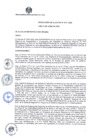 Vista preliminar de documento RA 313 6.06.22.pdf