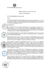 Vista preliminar de documento RA 309 06.06.2022.pdf