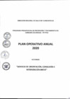 Vista preliminar de documento Plan Operativo Anual 2020 de la Actividad: "Servicio de Orientación, Consejería e Intervención Breve"