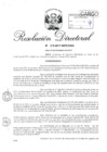 Vista preliminar de documento RD 315-2017.pdf