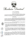 Vista preliminar de documento RD 309-2017.pdf