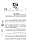 Vista preliminar de documento RD 307-2017.pdf