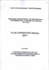 Vista preliminar de documento Plan Operativo Anual 2017 de la Actividad "Atención Terapéutica en los Establecimientos Penitenciarios y Centros de Medio Libre"
