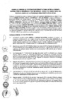 Vista preliminar de documento Adenda al Convenio de Cooperación Interinstitucional entre la Comisión Nacional para el Desarrollo y Vida Sin Drogas - DEVIDA y la Fuerza Aérea del Perú, en el Marco de los Programas Presupuestales de DEVIDA
