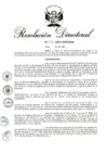Vista preliminar de documento RD 305-2017.pdf