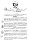 Vista preliminar de documento RD 301-2017.pdf
