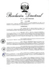 Vista preliminar de documento RD 296-2017.pdf