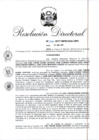 Vista preliminar de documento RD. N° 0296-2017-INPE_OGA-URH.pdf