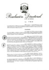Vista preliminar de documento RD 294-2017.pdf