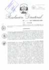 Vista preliminar de documento 042017 RD 0293-2017-INPE-OGA-URH_Alguayo Rojas Paúl Enrique.pdf