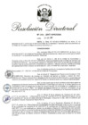 Vista preliminar de documento RD 289-2017.pdf