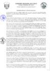 Vista preliminar de documento Ordenanza Regional