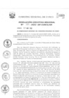 Vista preliminar de documento Resolución Ejecutiva Regional