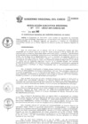 Vista preliminar de documento Resolución Ejecutiva Regional
