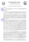 Vista preliminar de documento Acuerdo de Consejo Regional