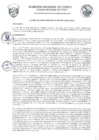 Vista preliminar de documento Acuerdo de Consejo Regional