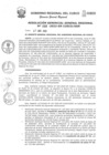 Vista preliminar de documento Resolución de Gerencia General
