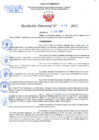 Vista preliminar de documento Resolución Directoral N° 01419-2021
