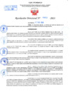 Vista preliminar de documento Resolución Directoral N° 01432-2021