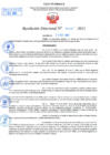 Vista preliminar de documento Resolución Directoral N° 01442-2021