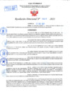 Vista preliminar de documento Resolución Directoral N° 01431-2021