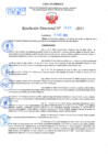 Vista preliminar de documento Resolución Directoral N° 01437-2021