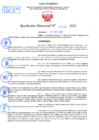 Vista preliminar de documento Resolución Directoral N° 01446-2021