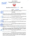 Vista preliminar de documento Resolución Directoral N° 01424-2021