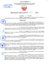 Vista preliminar de documento Resolución Directoral N° 01427-2021