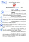Vista preliminar de documento Resolución Directoral N° 01429-2021