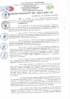 Vista preliminar de documento Resolución Directoral N° 00067-2022