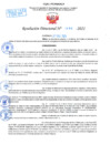 Vista preliminar de documento Resolución Directoral N° 01493-2021