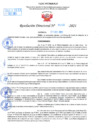 Vista preliminar de documento Resolución Directoral N° 01502-2021